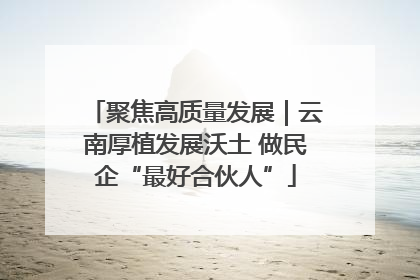 聚焦高质量发展｜云南厚植发展沃土 做民企“最好合伙人”